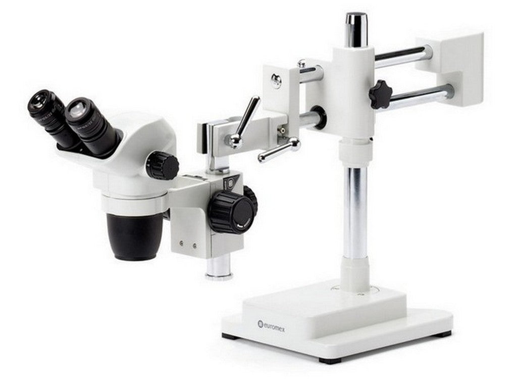 Mikroskop Binocular stereo NexiusZoom m/stand