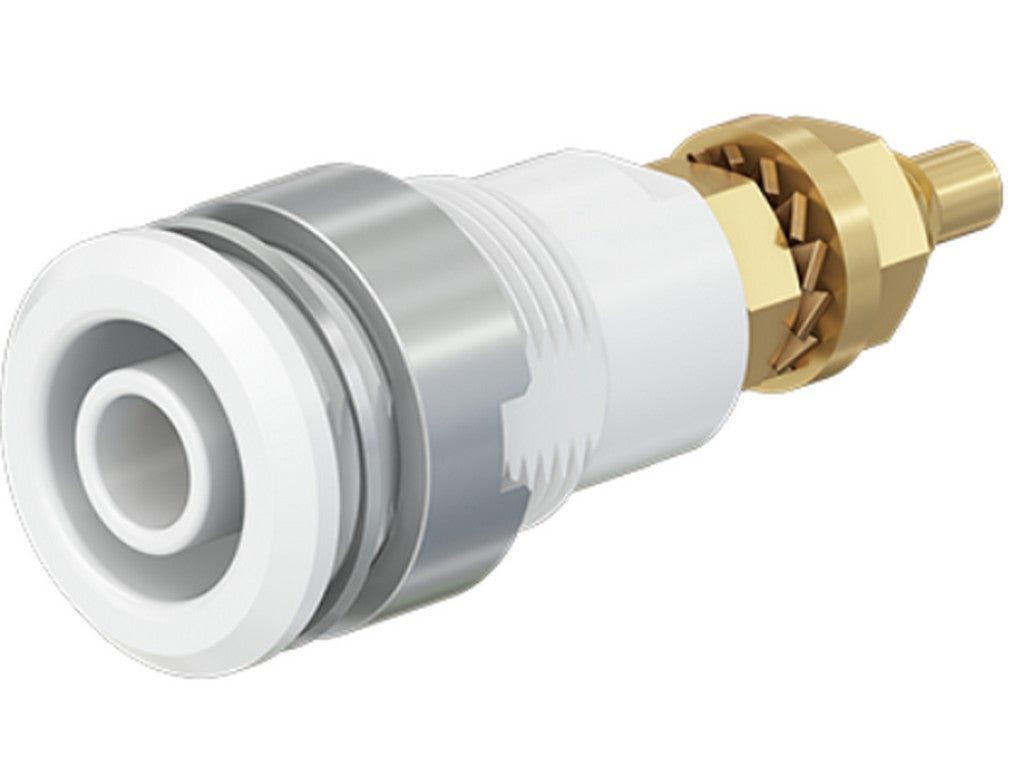 Bøsning SLB4-G forgyldt hvid CAT III 1000V 32A
