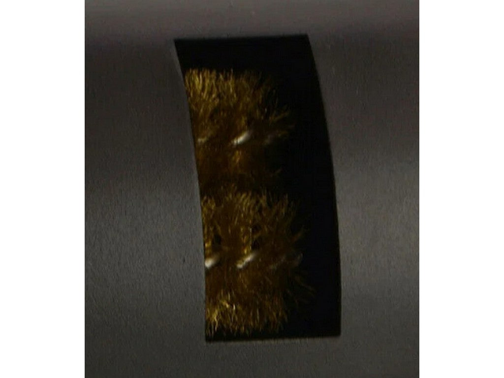 Børstepar til TMT-ASTC100