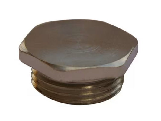 Blind plug M20 Stainless stpl 316L